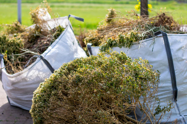 Best Attic Cleanout Services  in Denham Springs, LA